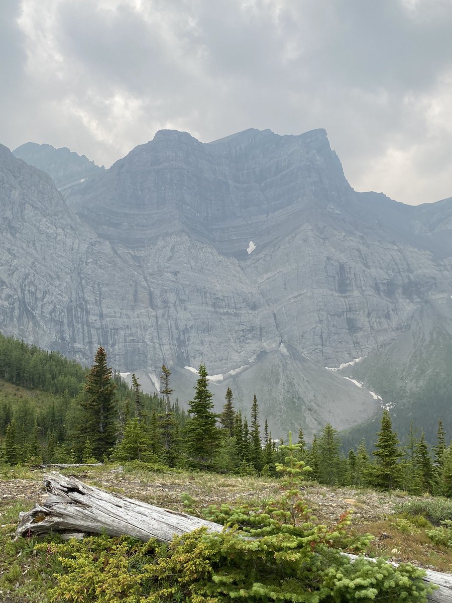 Doerthe Tetzlaff tweet media