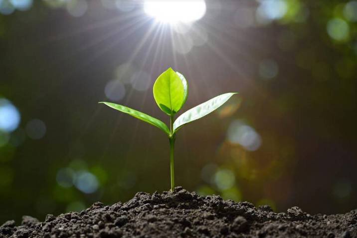 Terminamos nuestras 2das Jornadas de Crecep - estrategias complementarias en UCIP, cerca de 500 asistentes , sembrando conciencia para el manejo integral de la enfermedad crítica.
GRACIAS a todos los asistentes
Seguiremos  dando la milla extra 
#crecep #humanizalaucip