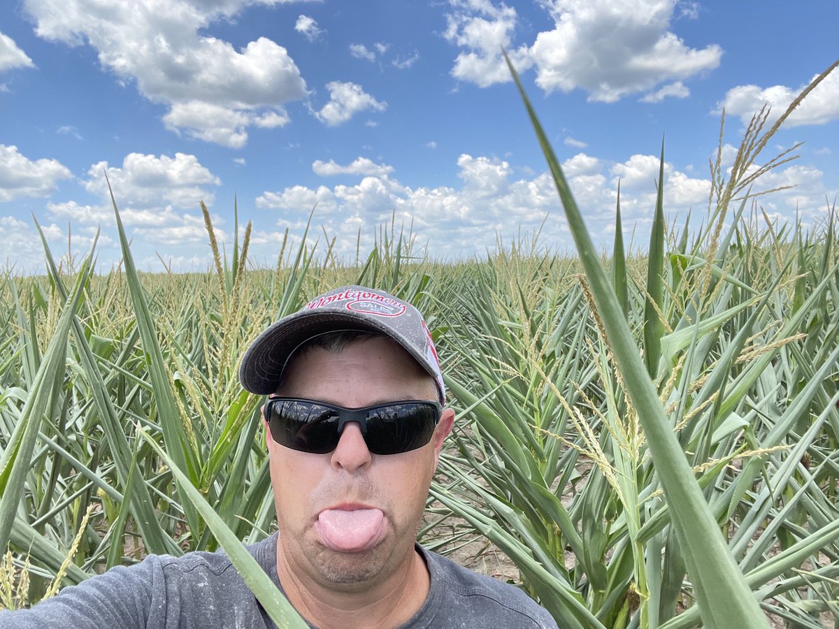 Josh Johnson tweet media