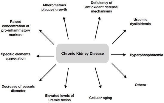 agingdoc1's tweet photo. Statins in Chronic Kidney Disease-Effects on Atherosclerosis and Cellular Senescence

https://t.co/MN0ecl9XPa https://t.co/s0yjtKGt4i