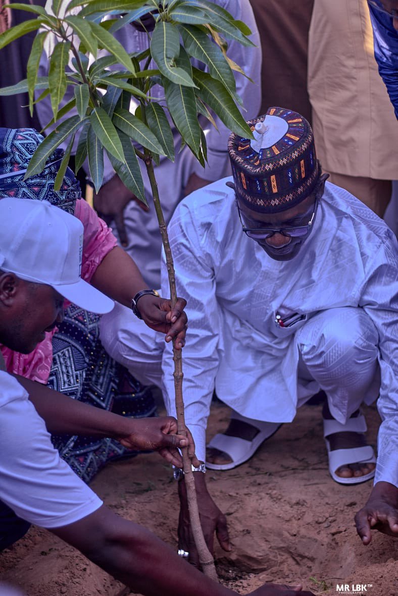 HasMan_7's tweet photo. Yobe #GGWDAY2023 
The Groasis Waterboxx, a technology from Netherlands was demonstrated to H. E Hon. Mai Mala Buni by Hajiya Habiba M. Tumsah to mark the celebration of this auspicious day.

Other  places visited includes the Emir's palace, The Federal Polytechnic and two schools https://t.co/oAjLvx13qU