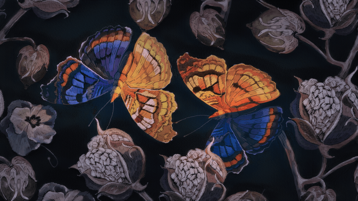 ASUBiodesign's tweet photo. In a new study, researcher Stefania Kapsetaki and her colleagues explore the relationship of chimerism across an array of multicellular species and the invasiveness of tumors found in these organisms. https://t.co/KS3TTICaxU https://t.co/eZDA4AhHj3