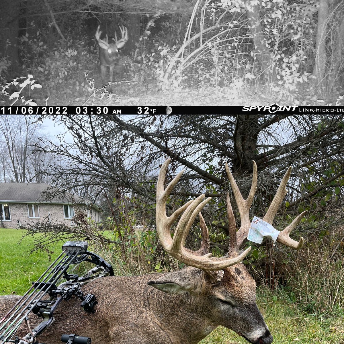 FFKenyon's tweet photo. @DruryOutdoors @SteveFrantz01 @ReconyxInc Was the biggest deer I had on camera.  Now he’s on the wall. https://t.co/YYZlWxElRU
