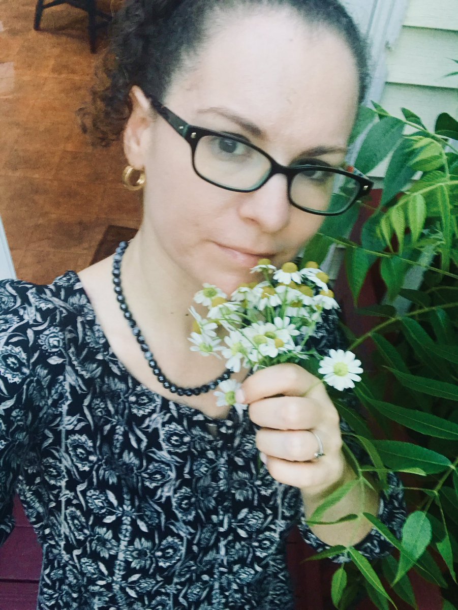 MiraSthira's tweet image. Want some feverfew from my garden anyone?  #feverfew #wildplants #wildcraft