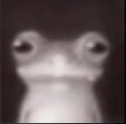 Bashing_'s tweet image. 😐