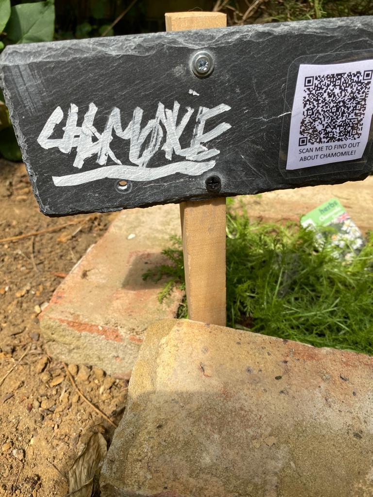 ThatsElementary's tweet photo. We made clips 🎞️about the herbs🌿in our #communitygarden giving #information about how #amazing #herbs can be for our #wellbeing - #justscan the #QRcodes! ➡️🎞️ #Watch here and #findout why #Mint is amazing! https://t.co/wG4BgFYhHP

#Outdoorplay #community #environment #gardening https://t.co/9IcdWpRAGE