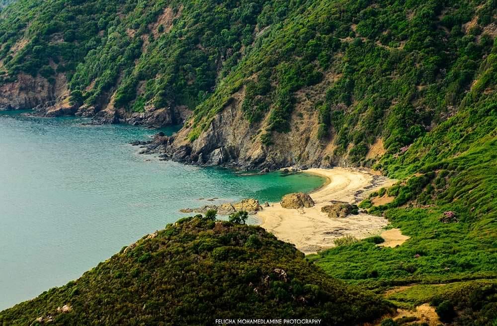 Discover_DZ's tweet photo. Skikda, Algeria. https://t.co/JQ4oMFa2JY