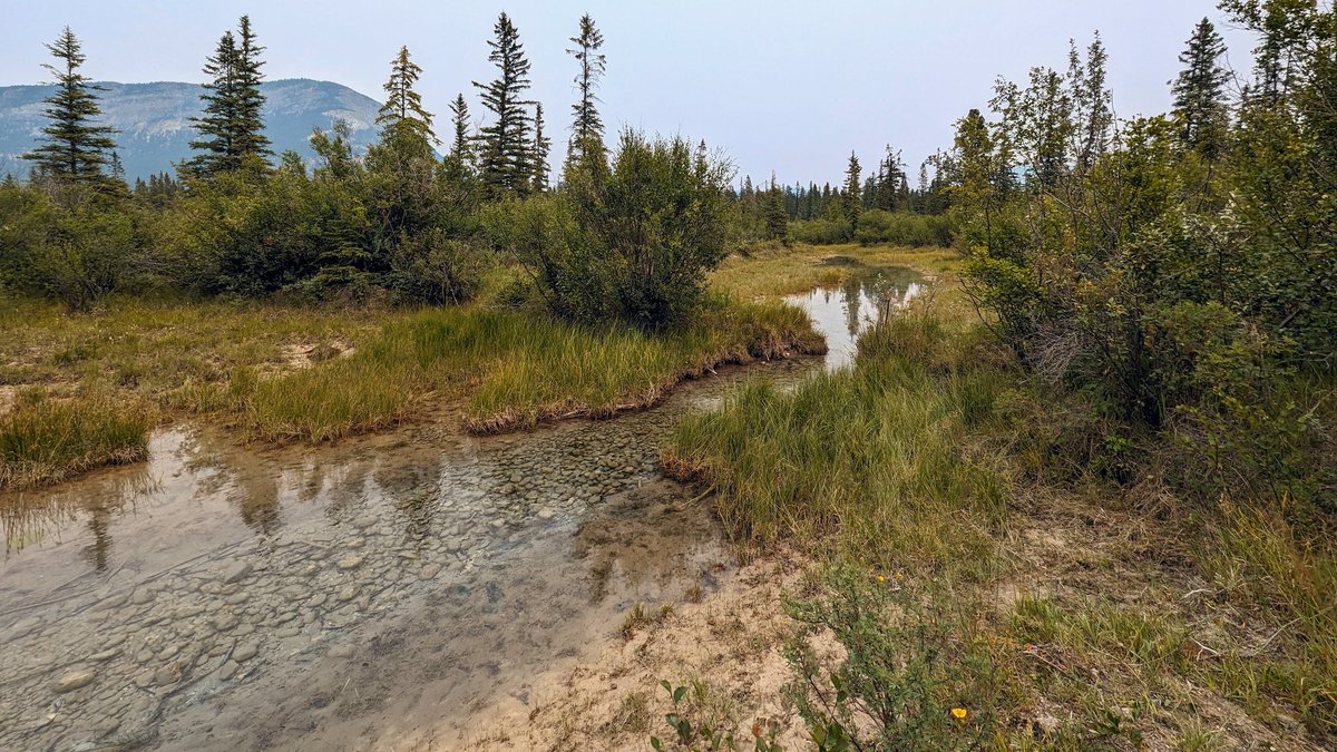 Michael Damon tweet media