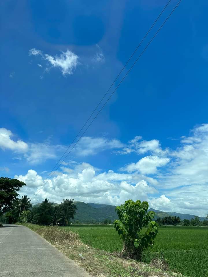 Samantha0797's tweet photo. Happiest Weekend Beautiful and Sweet Tweeps!😊
#TYGod
#Viewtiful
#GodsGift https://t.co/radmwb1AYA
