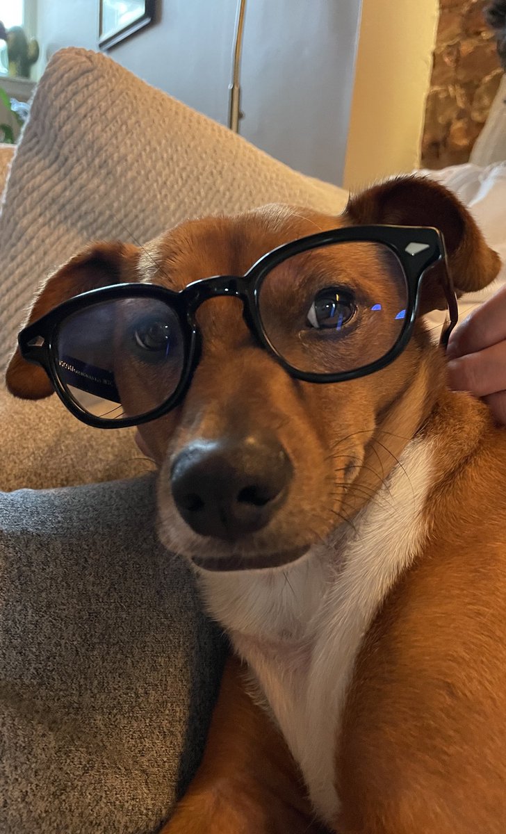 hellogirls's tweet photo. Me on Twitter vs me on Threads. https://t.co/ns0QgdrF2L