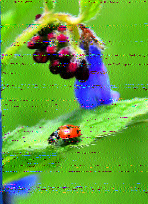8adesigner's tweet photo. @SWRadiogram Parte 2. https://t.co/7yZ9TUMPzc