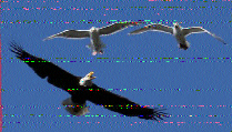 8adesigner's tweet photo. @SWRadiogram Parte 2. https://t.co/7yZ9TUMPzc