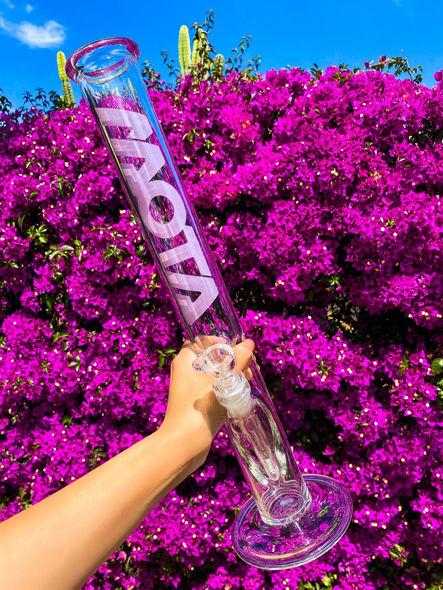 MOTA Glass tweet media