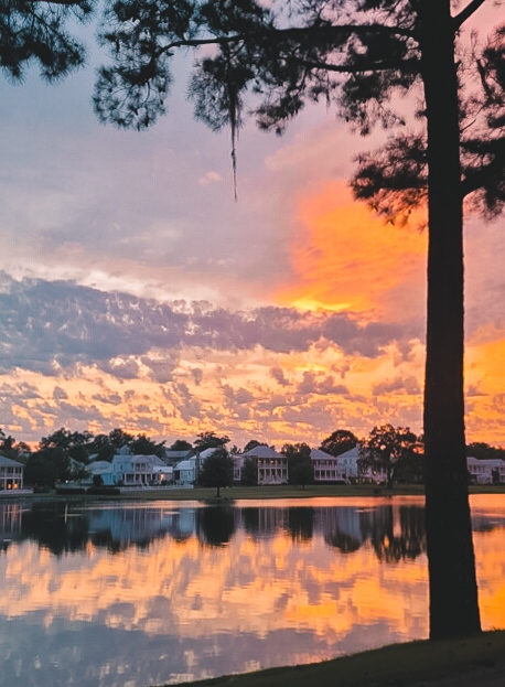 Never. Gets. Old. ☀️
Thanks to a neighbor for sharing this sunset view! 

#thewatersal #pikeroadalabama #sunshine