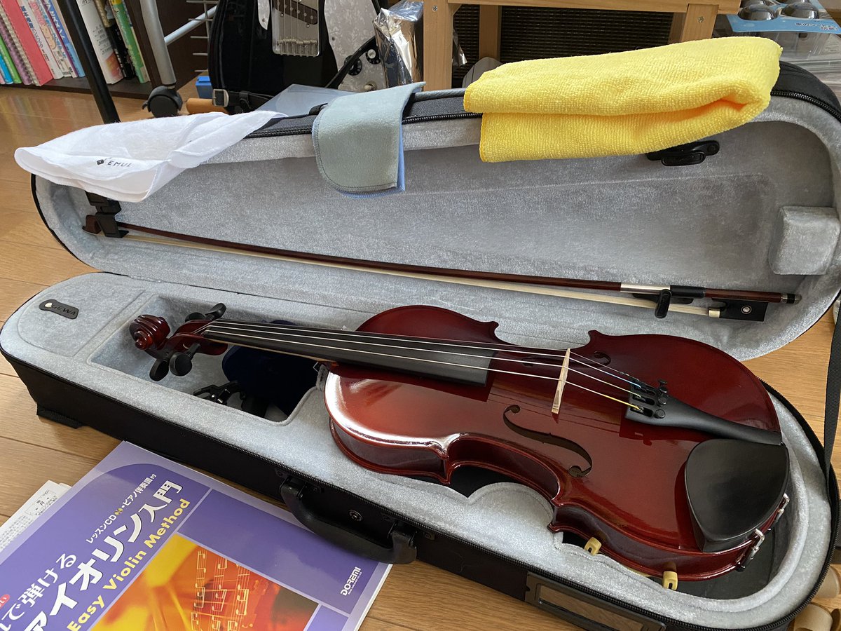 ひょんなことから始めることになった！
ゲームして、仕事して、ゲームして、ゲームして、バイオリン練習して、ゲームして……
寝る時間どこ🫨