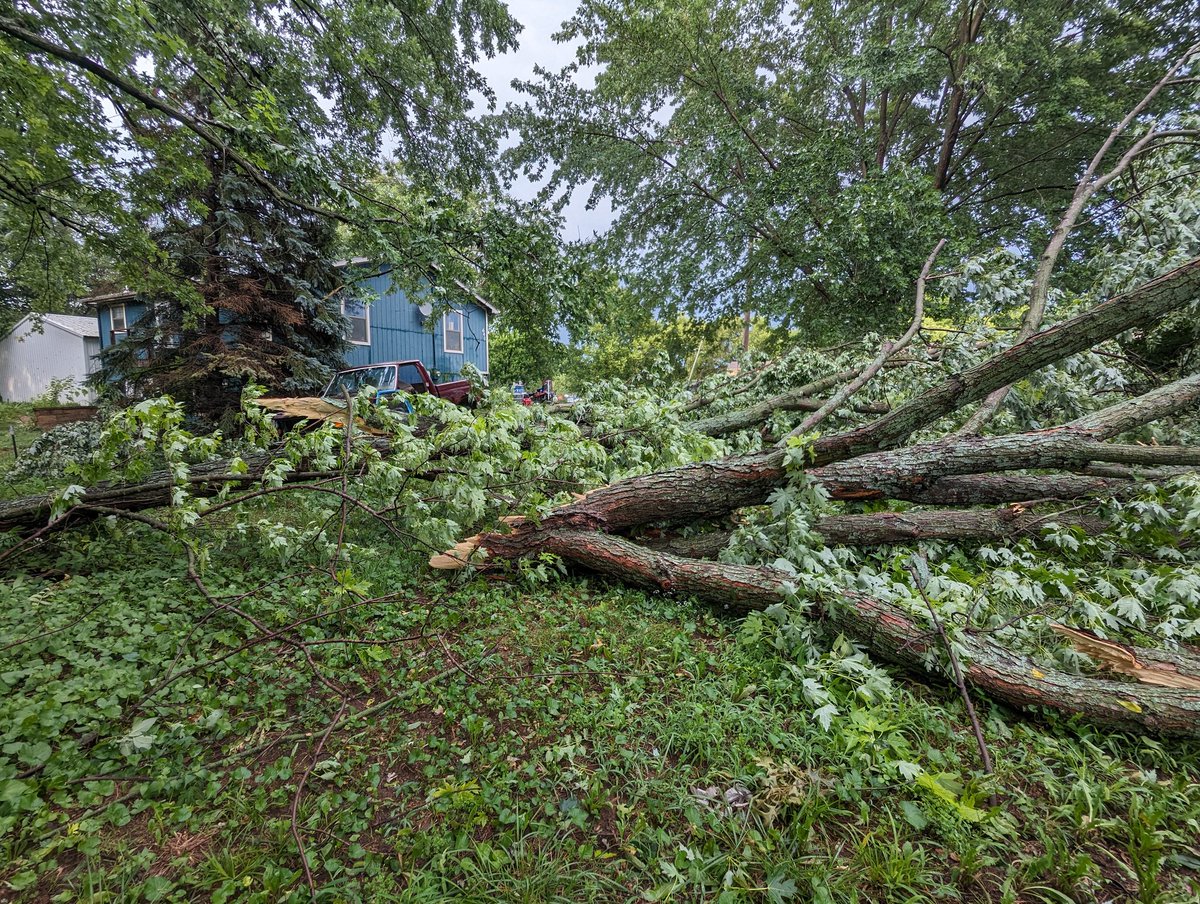 Samantha Foster tweet media