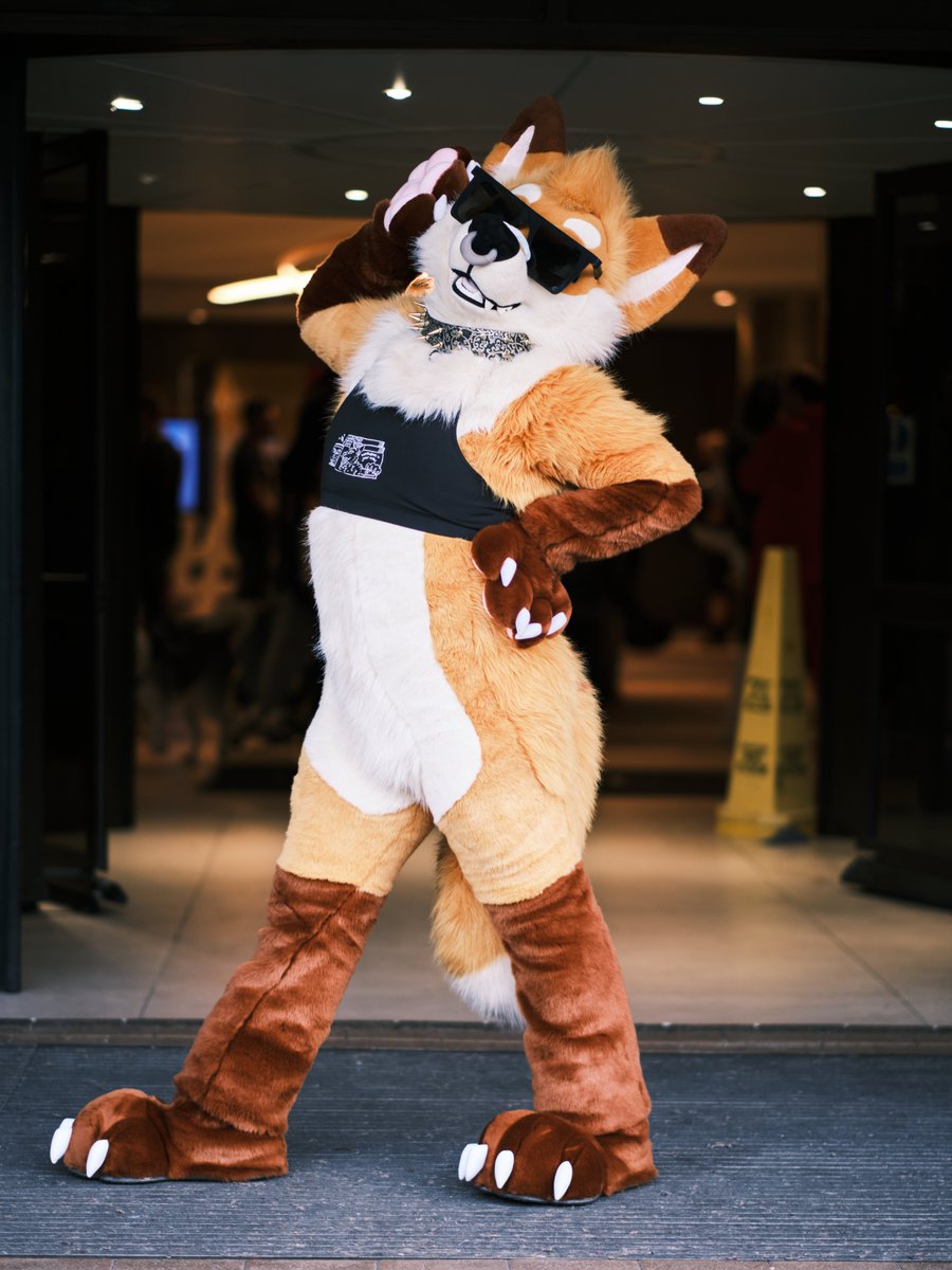 STRIKE A POSE 🦊✨📸 #FursuitFriday #CFz2023

📸@BrandyTheWuff 
🧵@FurryFursuit_M