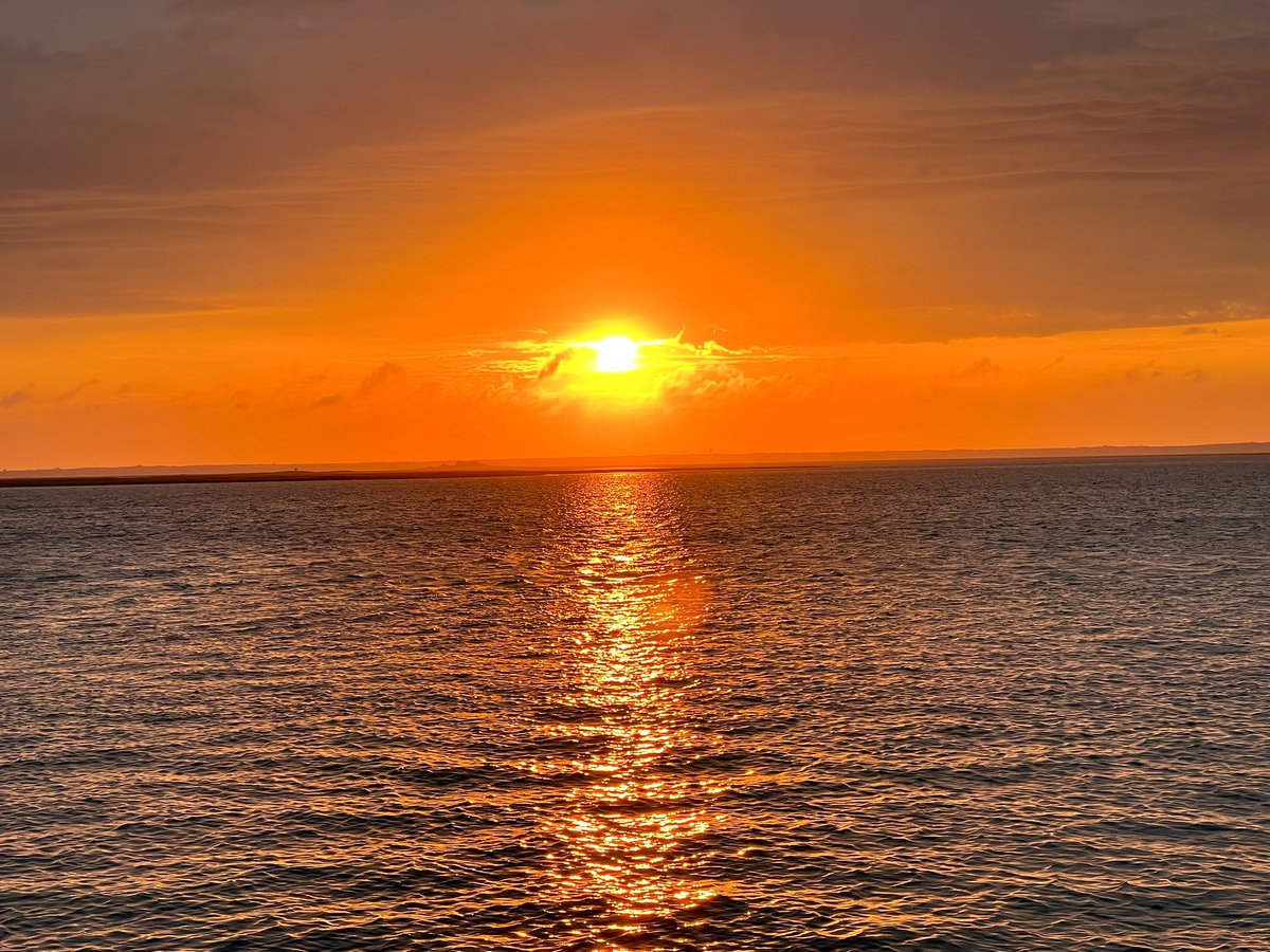 Mike Recinto tweet media