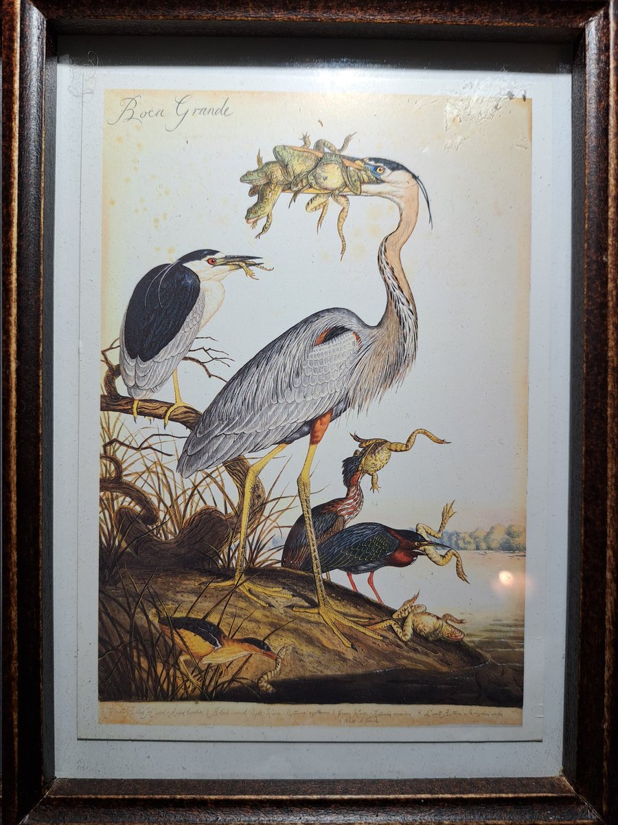 I went to the thrift shop to look for frames and found this absolutely phenomenal bird art
