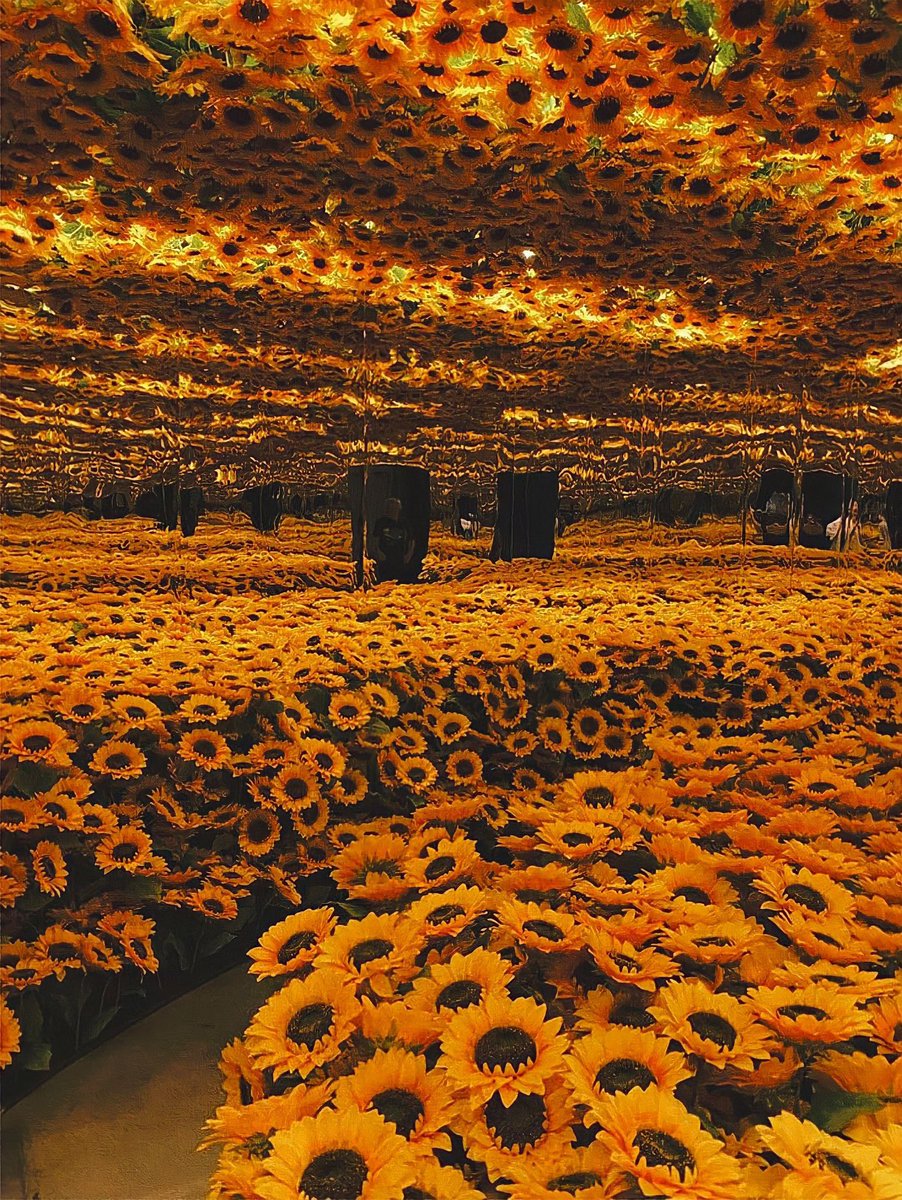 girassóis no museu van gogh