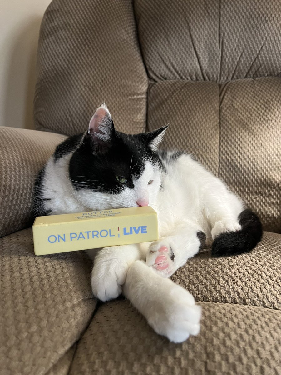 Nashville_Deb's tweet photo. Jasper has his #OPLive butter and is ready to watch. IYKYK. Letโs roll @OfficialOPLive @ReelzChannel #opnation #catsofoplive https://t.co/MSd0WgCHPN