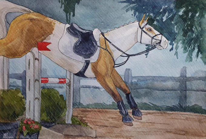 A little jumpy jump for Desert Orchid, my latest Nordanner