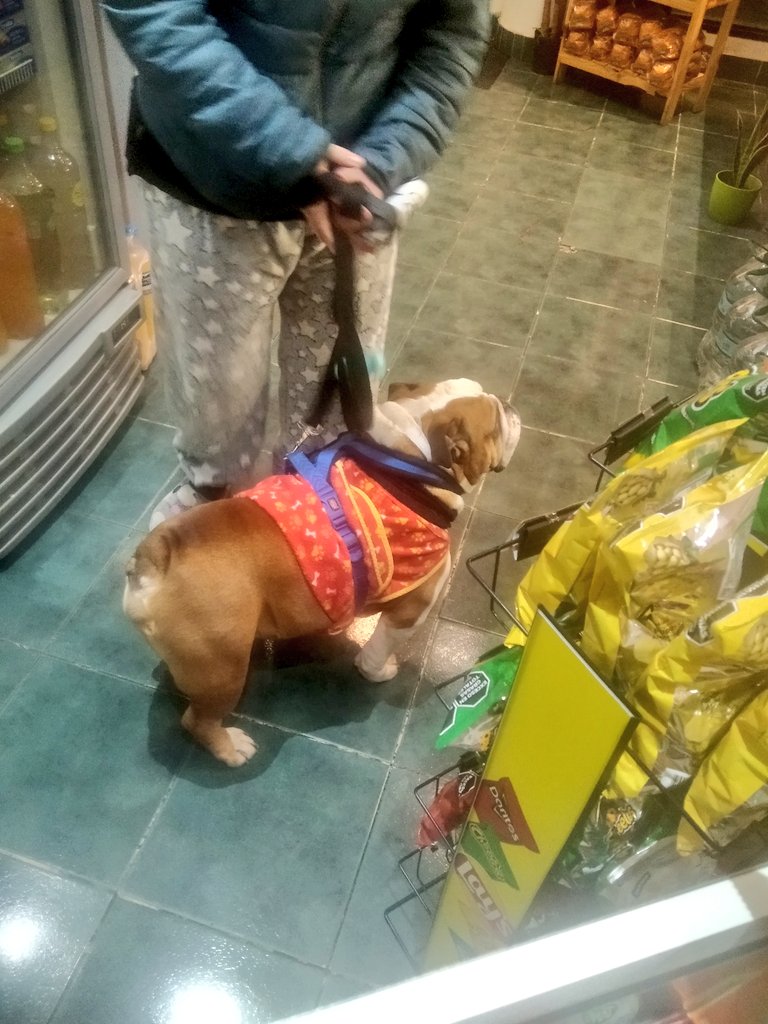 listo ya se me hizo el año