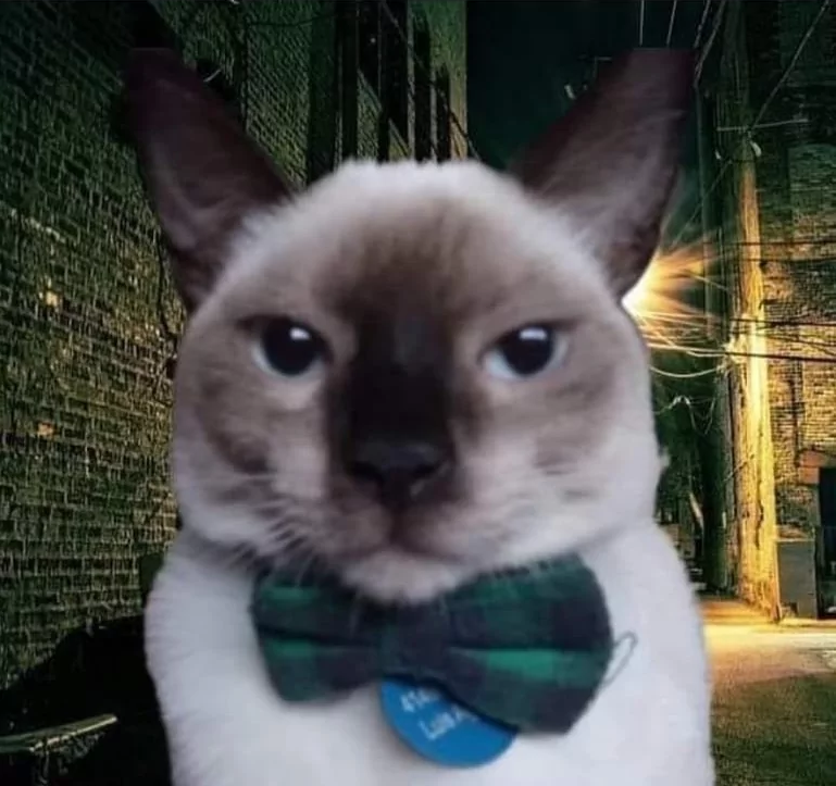 𝙇𝘼𝙎/𝘽𝙍
Buenas noches, luego de mi paso por <a href="/MonsclanGG/">Mons Clan</a> me encuentro 𝙁/𝘼 con mucha disponibilidad horaria y ganas de competir.  Rol principal duelista presto a jugar otros roles.
𝑫𝒊𝒔𝒄𝒐𝒓𝒅: lalozero / MD abierto.
𝑹𝑻/𝑽/𝑭𝑨𝑽 se agradece mucho. 🤍