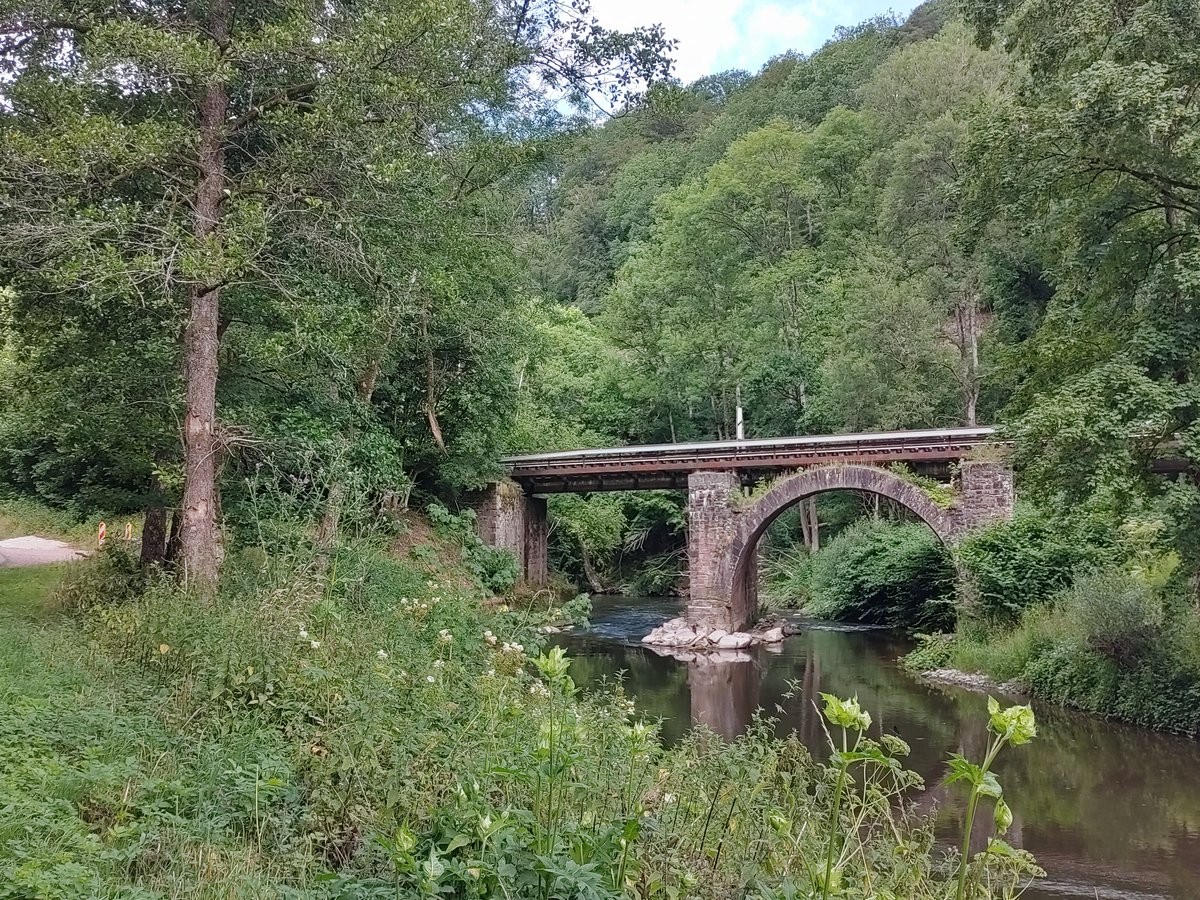 StephaneNature's tweet photo. Biking along the "Kyll valley" flowing into the well known river #Mosel in Germany. There was a great flood catastrophe 2 years ago 😢🌳🚵‍♂️🌊🐟🏞️
#TreeRide #RiverRide #NatureForResilience #Cycling  #Flutkatastrophe #ClimateEmergency #SelfHealingOfNature #Kyll https://t.co/t1lUGjlAXj