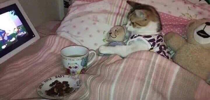yo los fines de semana mientras todos salen