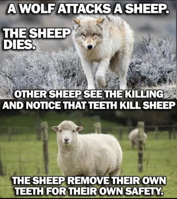 mot_con's tweet photo. How gun control works. https://t.co/Y3fVAymfpB