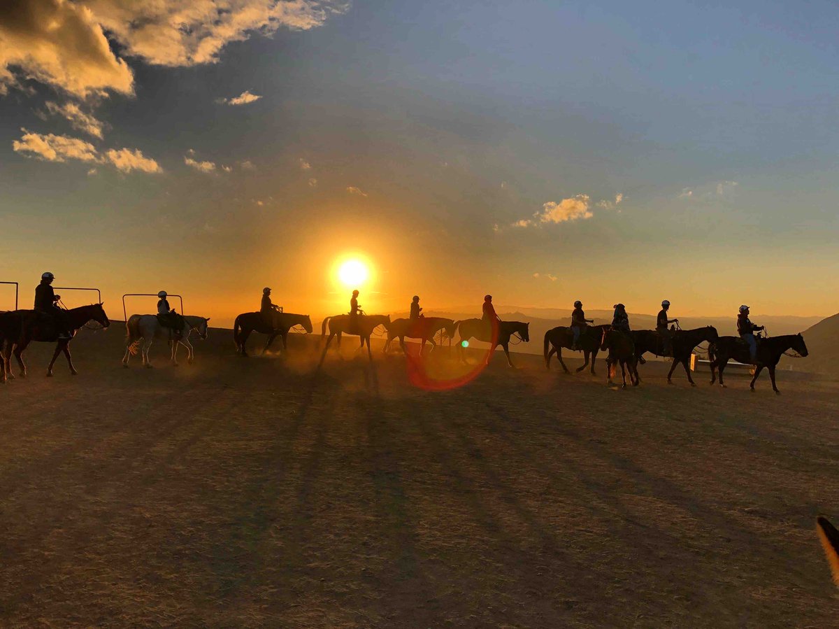 SunsetRanchLA's tweet image. It’s finally the weekend! Who is ready to ride! Sunsetranchhollywood.com 

#sunsetranchhollywood #hollywood #weekendvibes #hollywoodsign