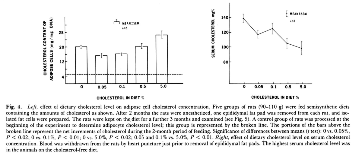 Average Joe tweet media