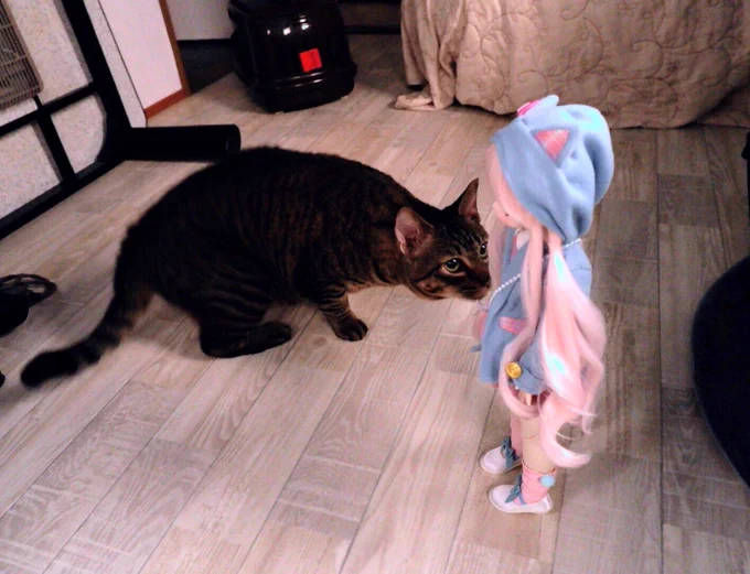 おはよー こうちゃん未知との遭遇!