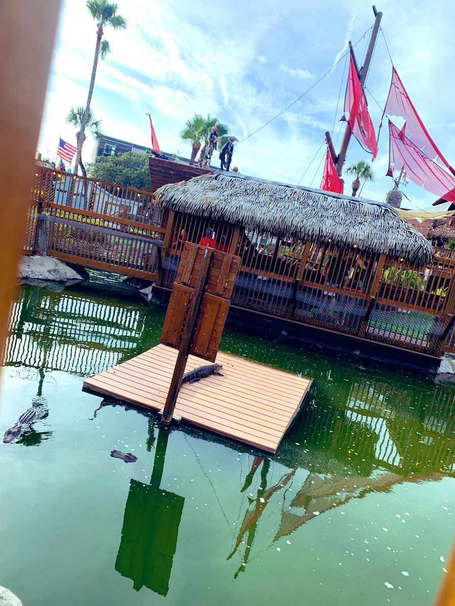 ambeezy10's tweet image. Went gator mini-golfing with the BF tonight. Made a hole-in-one and beat him by one stroke. LFG. #FloridaShit