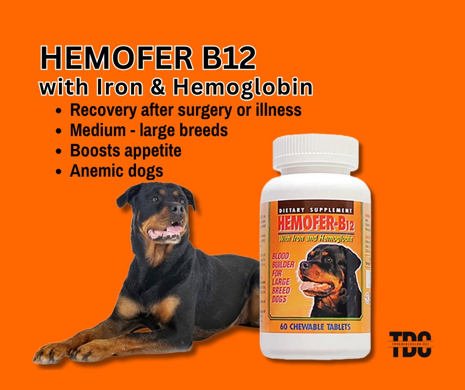 AnimalHealthHub's tweet photo. Hemofer B12
🔥 $11.00 🔥 60 chewable tablets
https://t.co/Tq1TOLgiIQ
Iron, Vitamin B12 & Hemoglobin Supplement
Product Description:
#HemoferB12
#IronSupplement
#VitaminB12
#HemoglobinSupport https://t.co/fzqFclOuiB