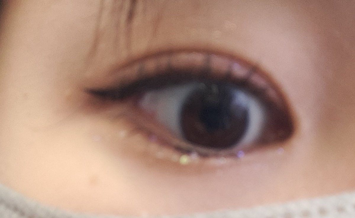 ふちな tweet media