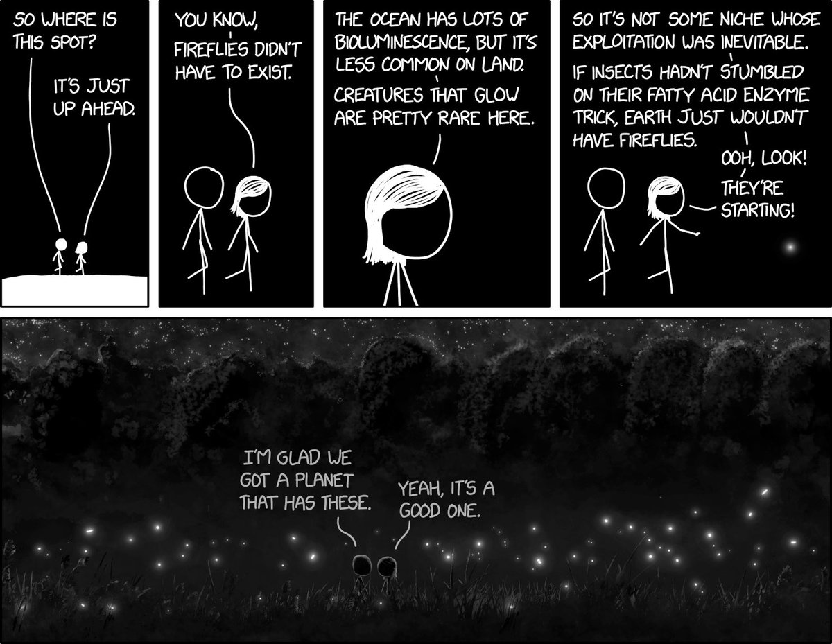 Fireflies xkcd.com/2802