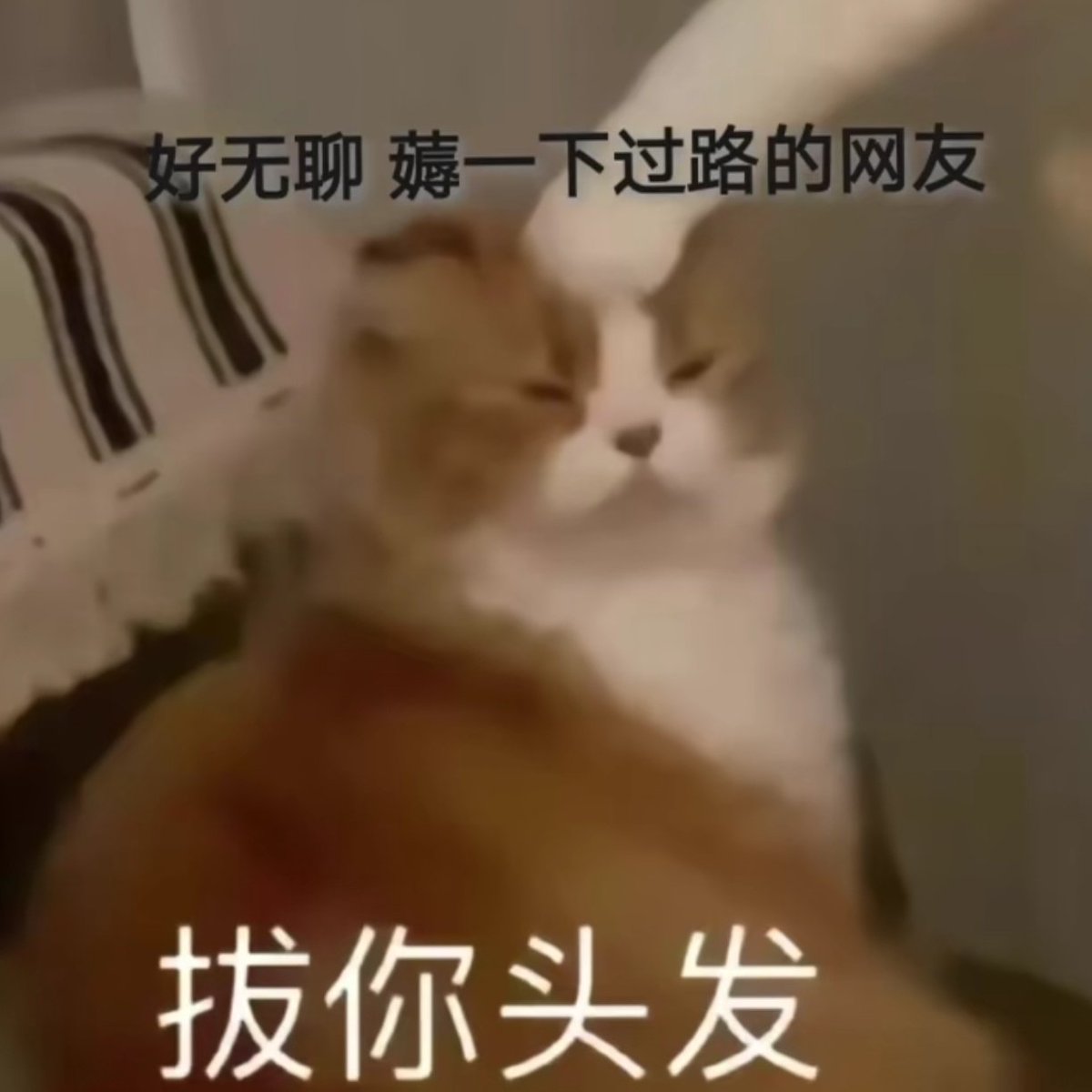 睡不好觉➕工作疲惫➕家里催婚＝想死 https://t.co/IoGdzdAVGH