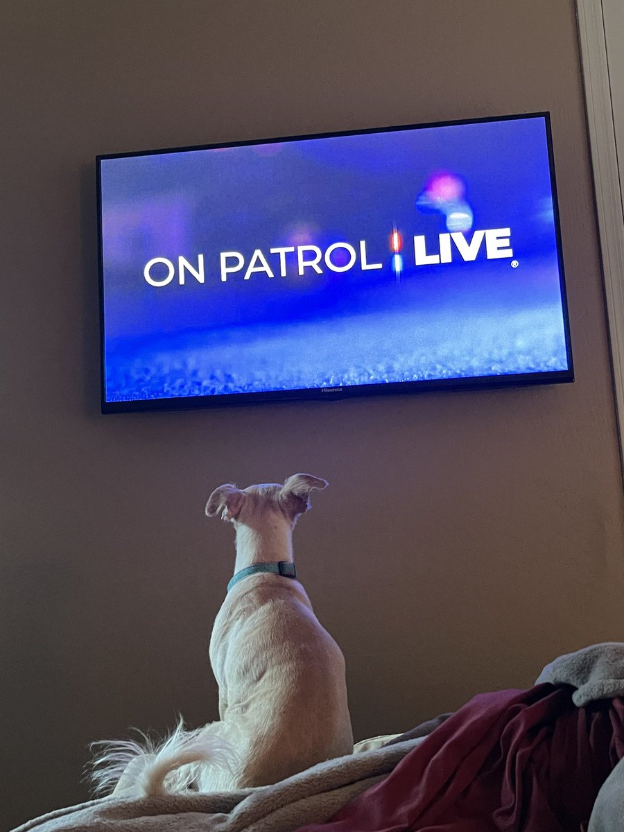 Currently: #OPLive #OPLiveNation