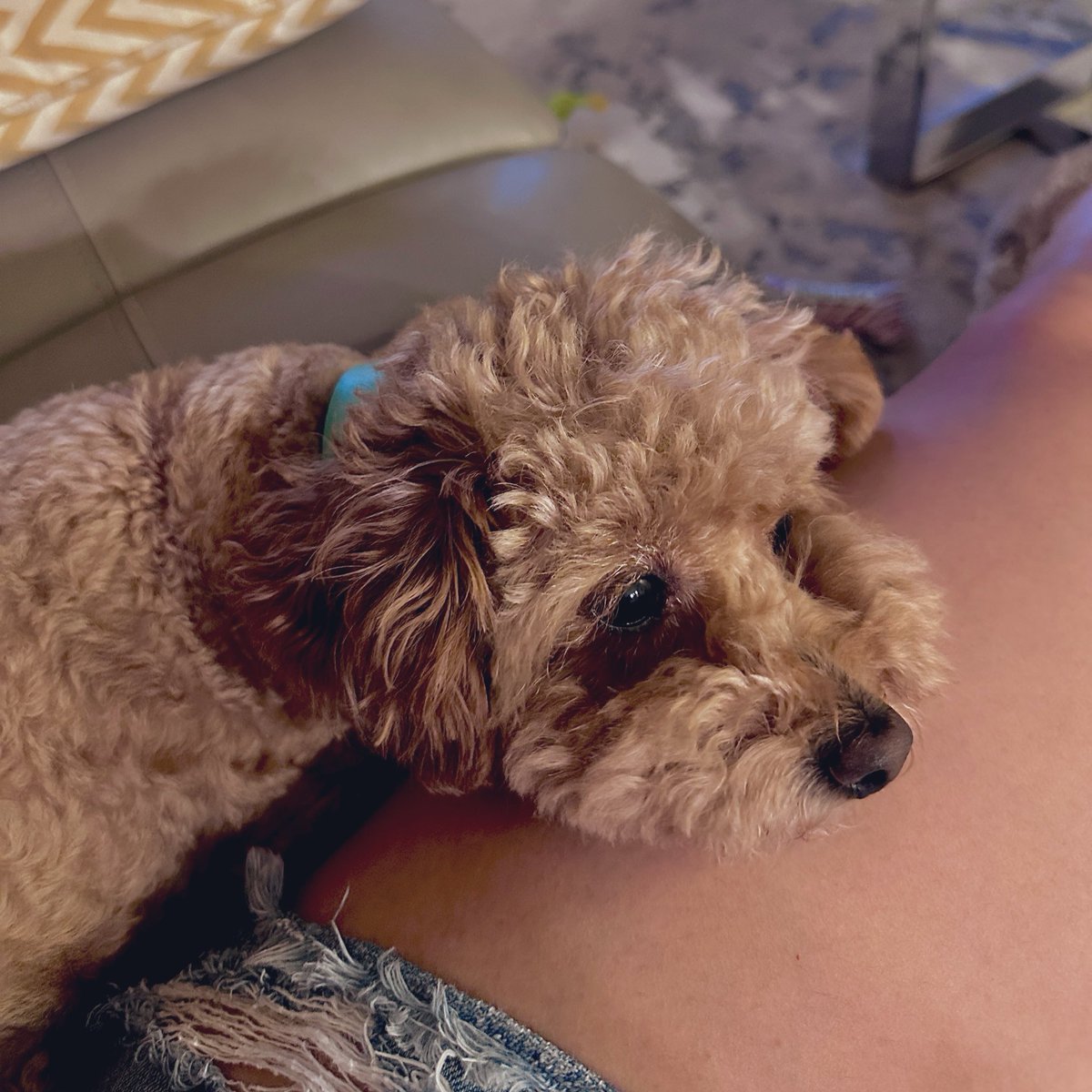MonseStudio's tweet photo. My baby girl is being so cute right now 💕🥹💕 https://t.co/e8pQ6KRRoY