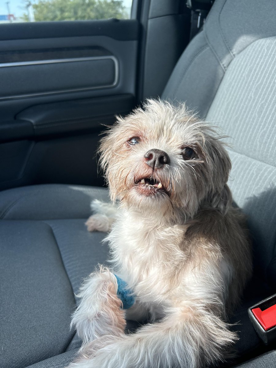 A happier day tweet media