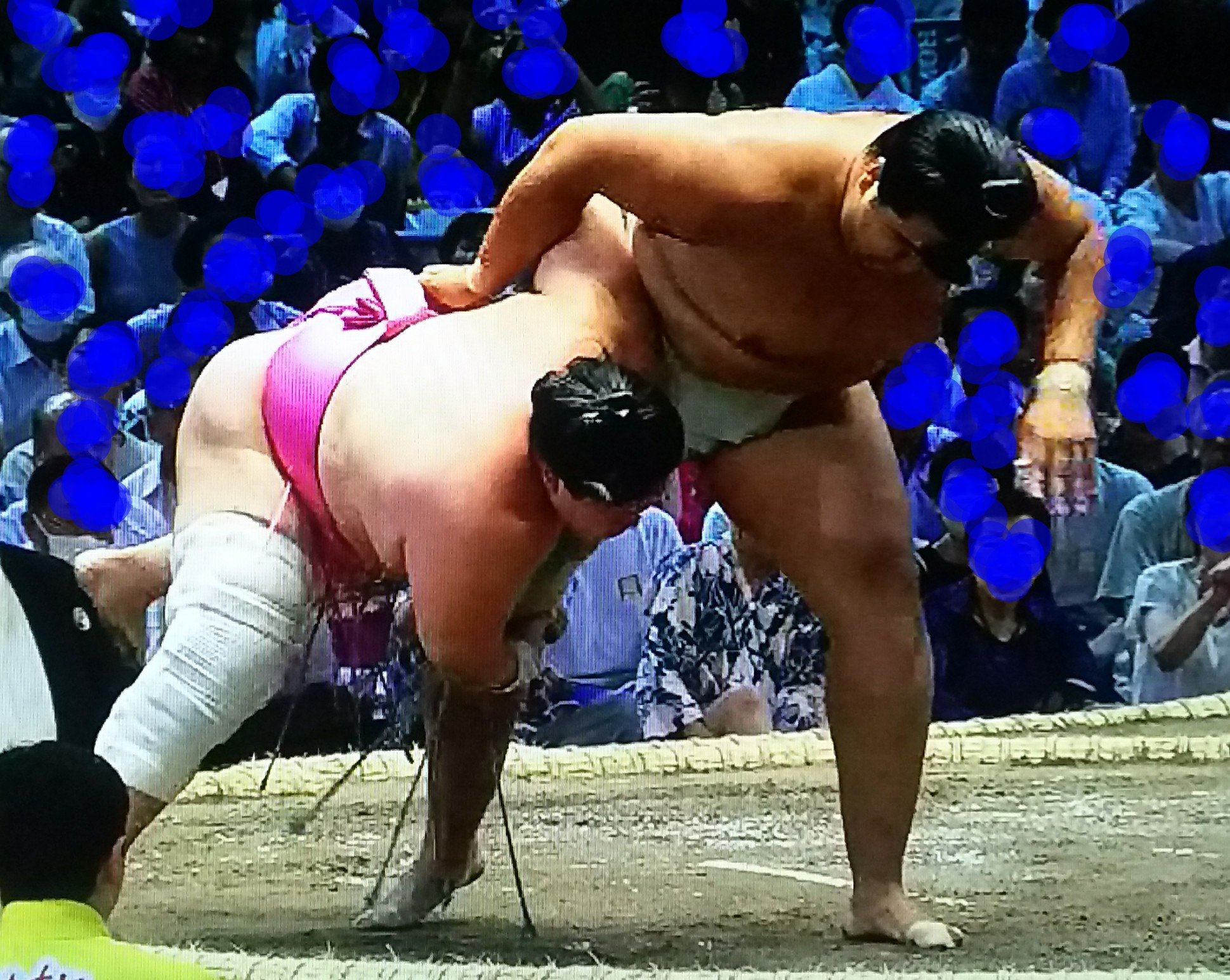 本物新品保証】 大相撲◯木瀬部屋◯ 生地/糸 - leos-service.com