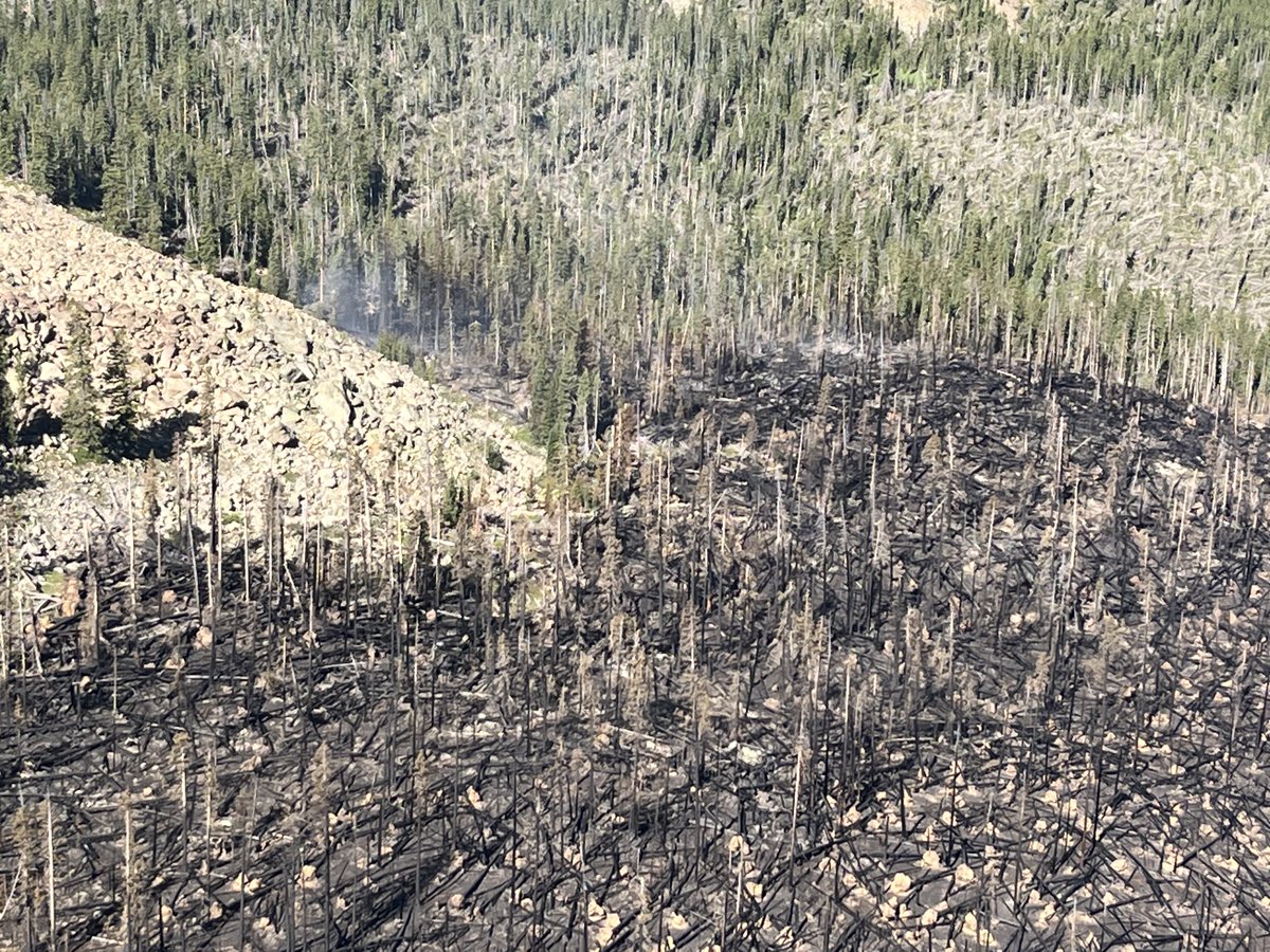 usfsarp's tweet photo. #DevilsThumbFire is 81 acres and 25% contained. Steep slopes, rugged terrain, and unstable conditions pose significant challenges to operations. The fire area is full of standing dead and leaning or snagged trees, posing an extremely hazardous situation for firefighters. https://t.co/QQZo0EbhBv