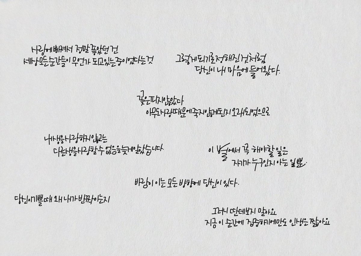디어포엠 tweet media