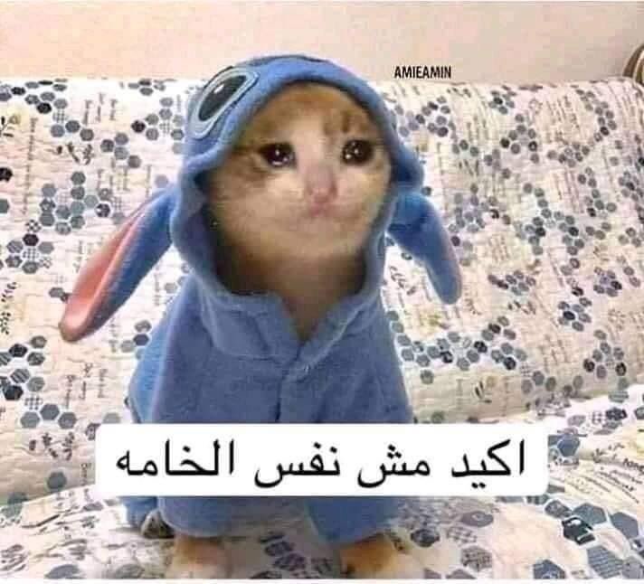 لما اشتري حاجه ب ٦٠٠ والاقيها ف محل تاني ب ٢٠٠