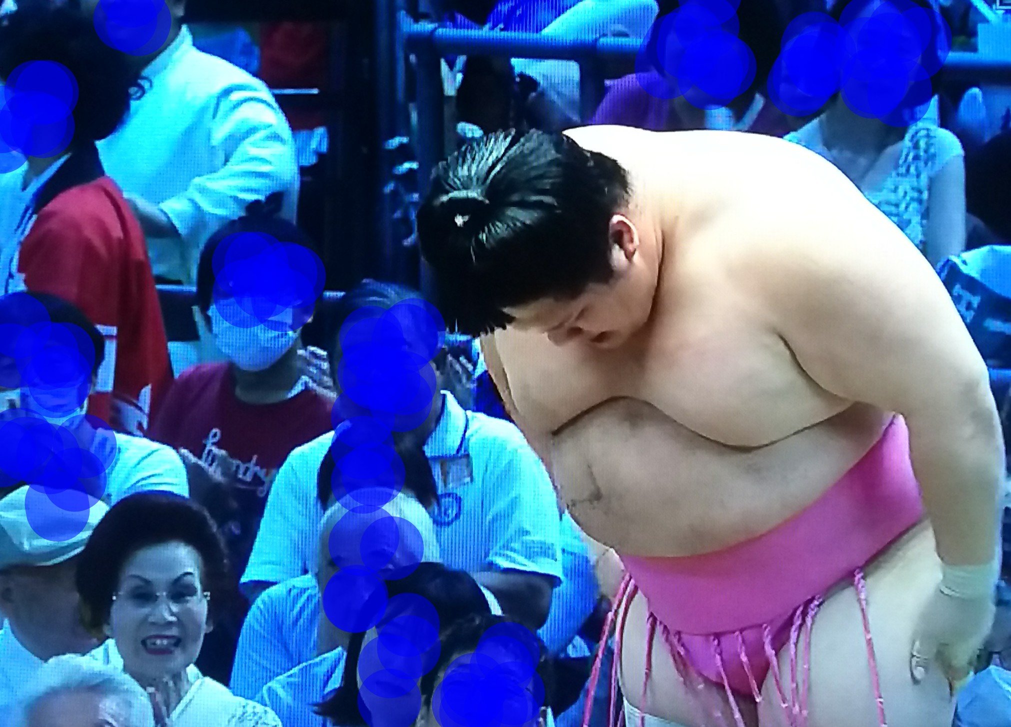 本物新品保証】 大相撲◯木瀬部屋◯ 生地/糸 - leos-service.com