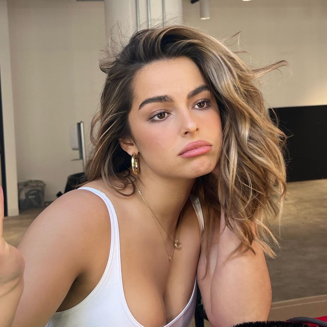 Perez Hilton tweet media