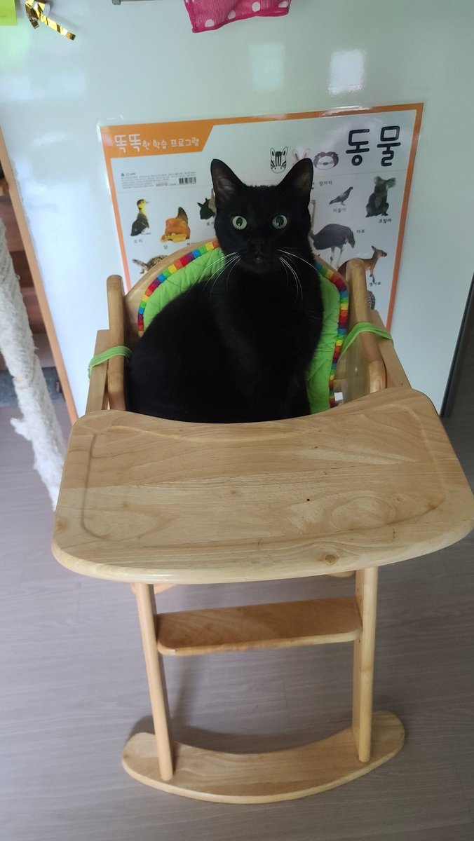 My baby is ready for his breakfast