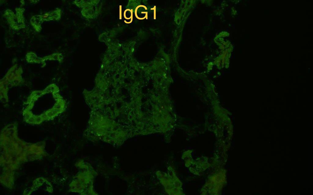 Sanjeev Sethi tweet media